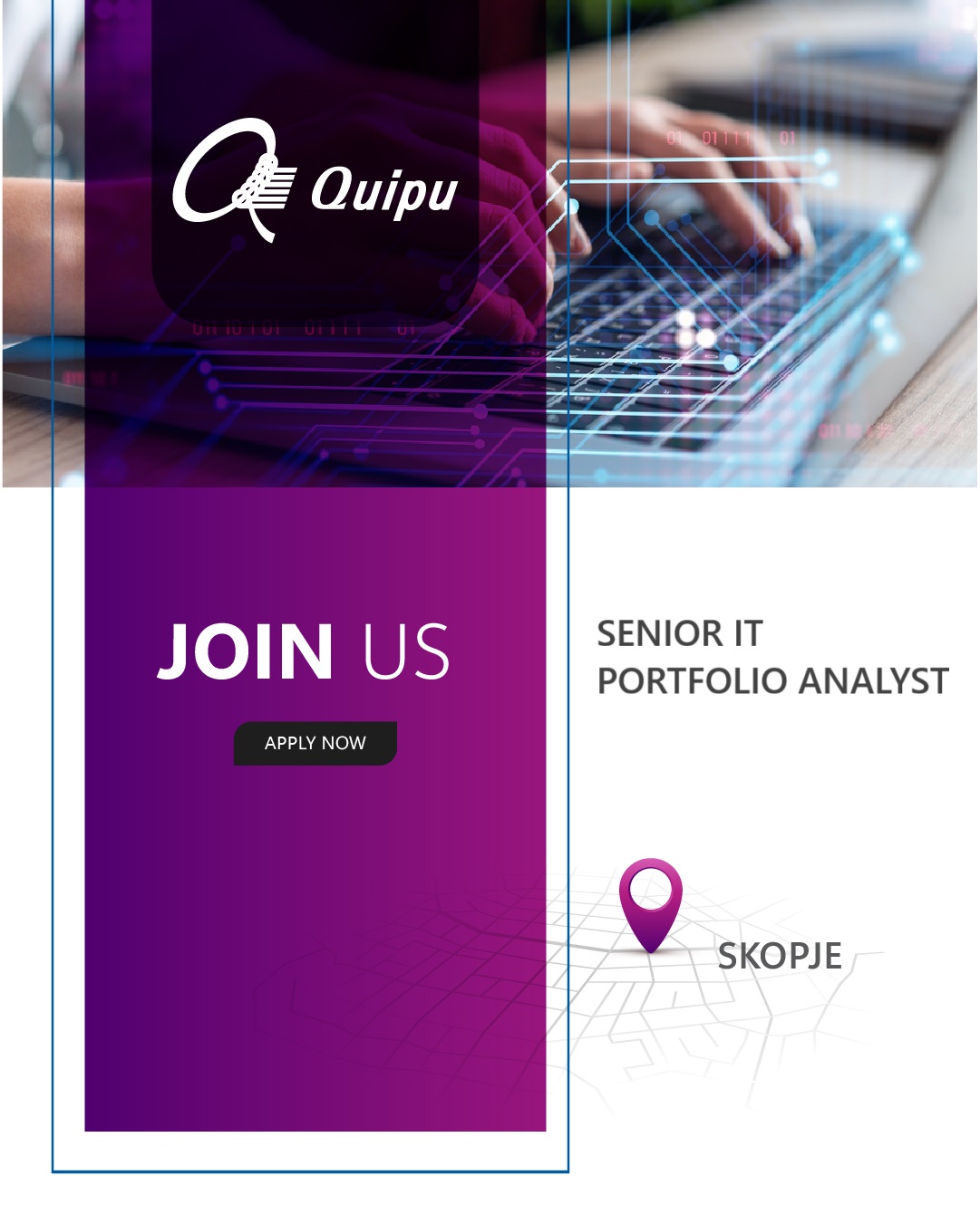 Senior IT Portfolio Analyst